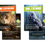 Experience day leaflets